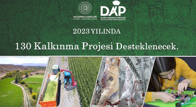 DAP BKİ'den 130 projeye destek