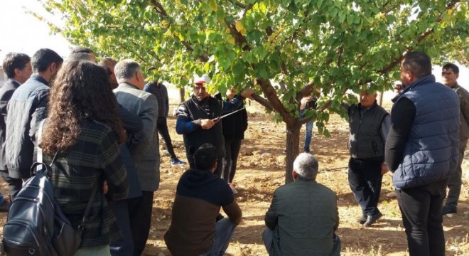 DAP BKİ'den çiftçi eğitimine destek