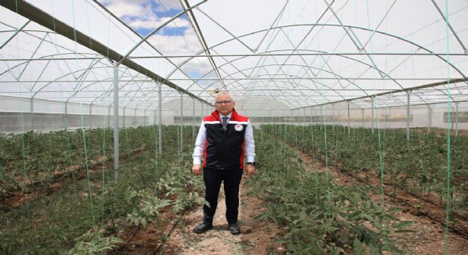 DAP BKİ'den seracılık desteği