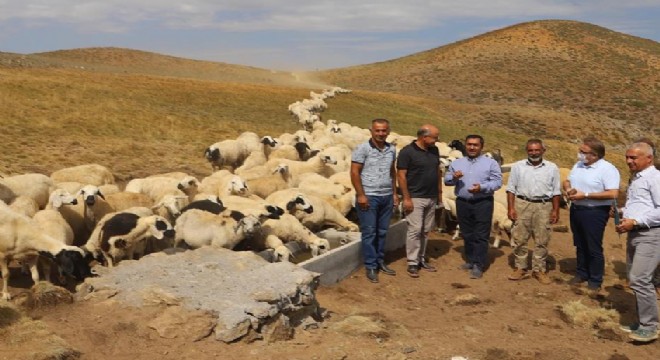 DAP İdaresinden besiciliğe destek