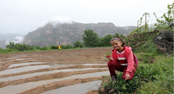 DAP'tan Çukurca'ya tanıtım desteği