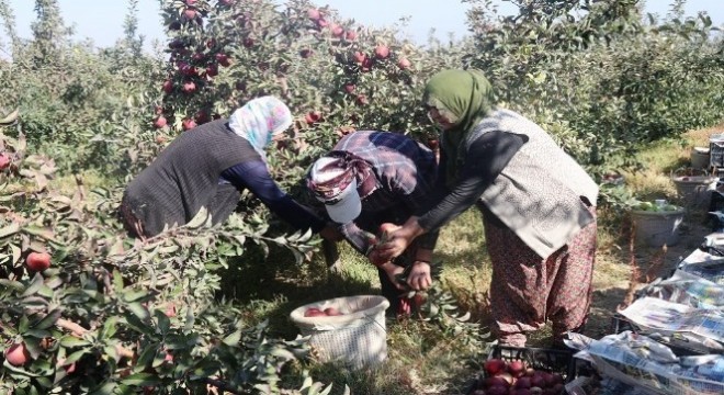 DAP ve DAKA'dan yüzde 50 hibe desteği