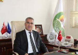 DAP'tan Bingöl'e park desteği