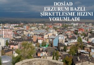 DOSİAD'tan şirketleşme analizi