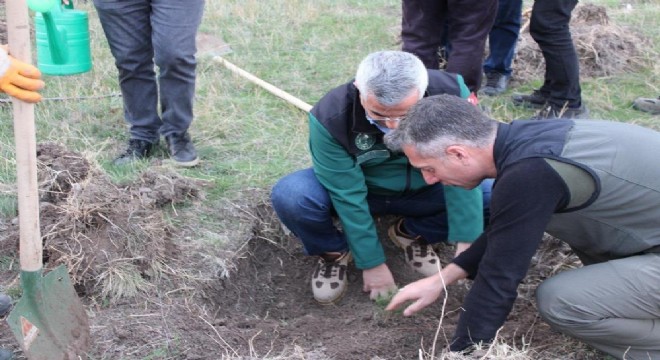 DSİ ve OBM'den ‘Yeşil Vatan' için güç birliği