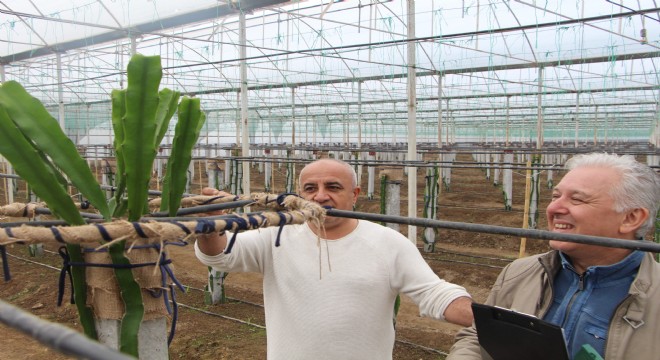Dadaş girişimci, Antalya'da gündem oluşturdu