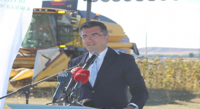 Daphan Ovası'nda hasat festivali