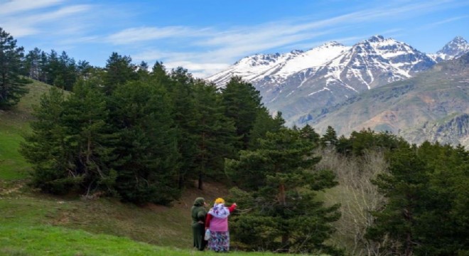 Doğa fotoğrafçıları İspir'de buluştu