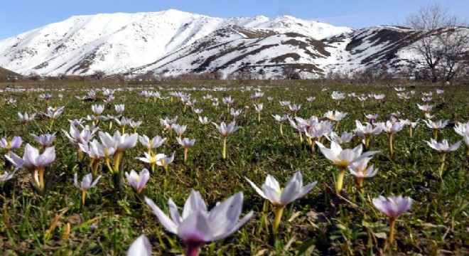 Doğu Anadolu baharda bir başka güzel