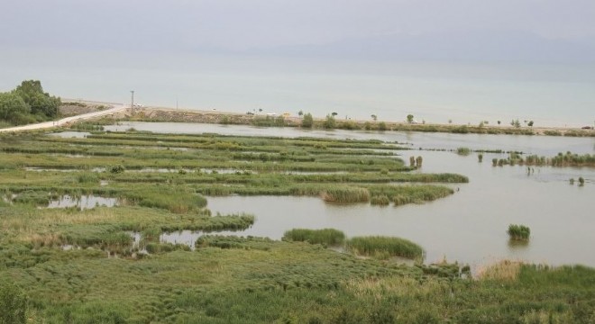 Doğu Anadolu'da 2 alan koruma altına alındı