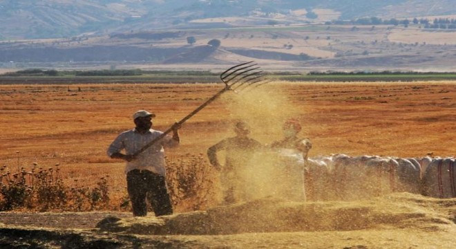 Doğu Anadolu'da Harman Vakti