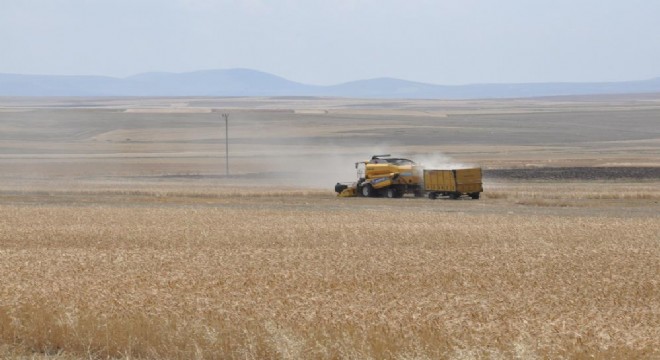 Doğu Anadolu'da arpa hasadı başladı