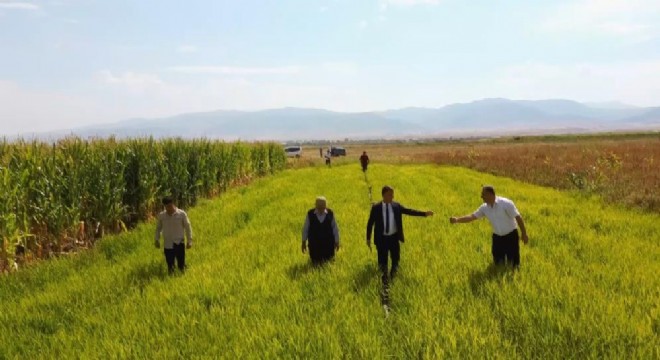 Doğu Anadolu'da bir ilk