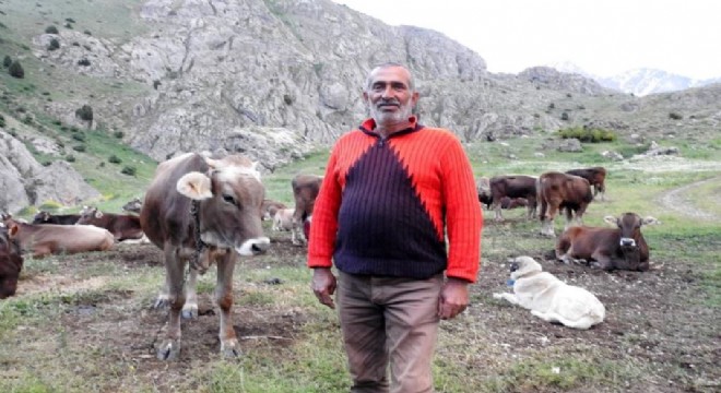 Doğu Anadolu'da büyüleyici yaban yaşamı