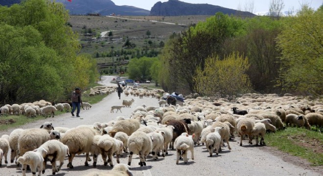 Doğu Anadolu'daki göçerler dönüş yolunda