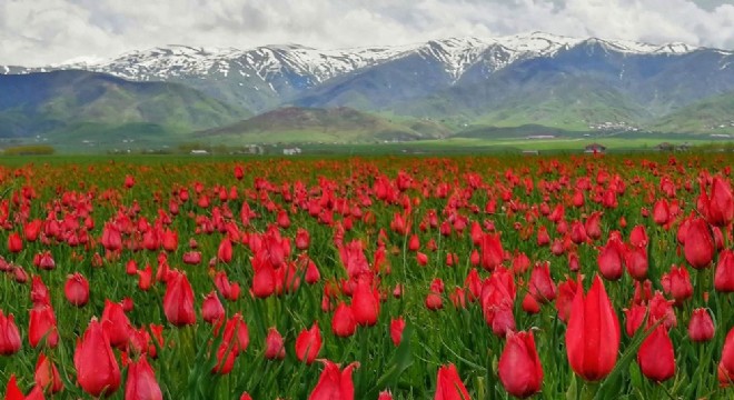 Doğu Anadolu'dan tablo gibi görüntü