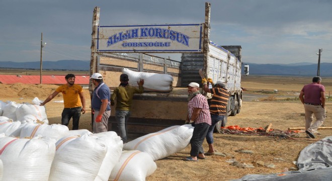 Doğu Anadolu yem piyasasında hareketlilik
