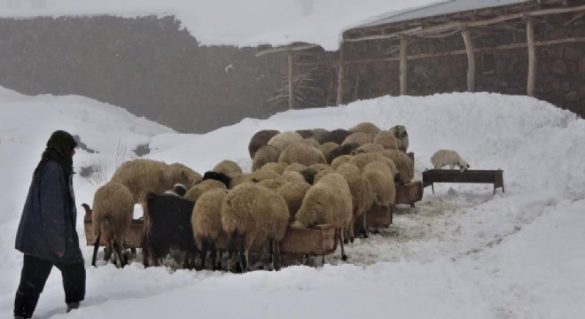 Doğu'da Besicilerin zorlu kış mesaisi