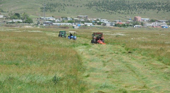 Doğu'da biçim zamanı