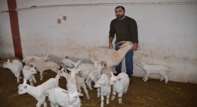 Doğu'da girişimcilik başarısı