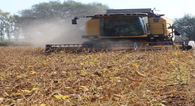 Doğu'da ilk ekim ve ilk hasat