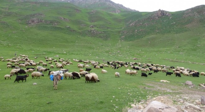 Doğu'da yaylalara göç vakti