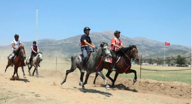 Doğu'dan Batı'ya Rahvan At yetiştirme geleneği