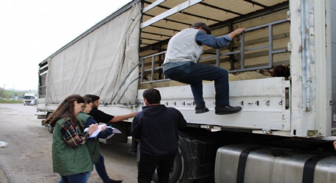 Doğu'dan Büyükşehirlere kurbanlık sevkiyatı başladı