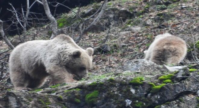 Doğu'dan Kış ortasında yürek ısıtan görüntü