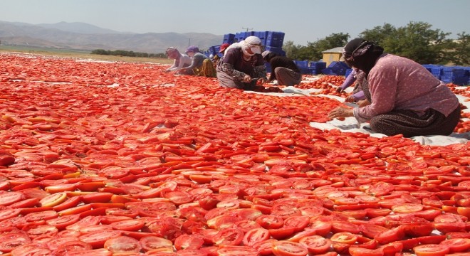 Doğu'dan girişimcilik dersi