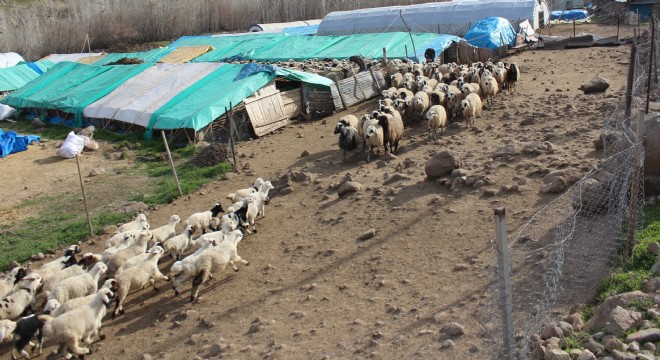 Doğu'dan göz yaşartan tablo