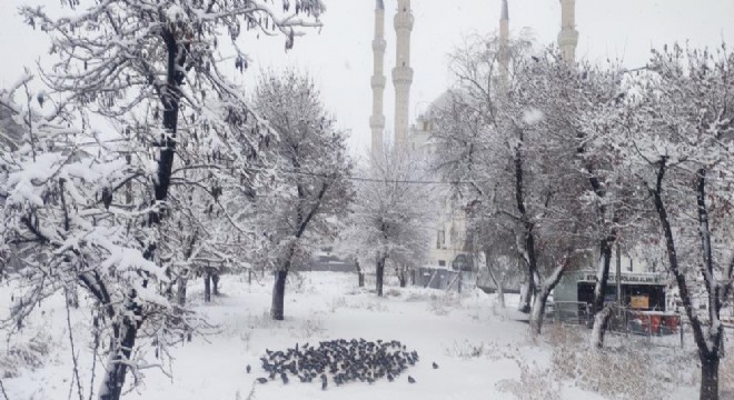 Doğu'dan kış günceli