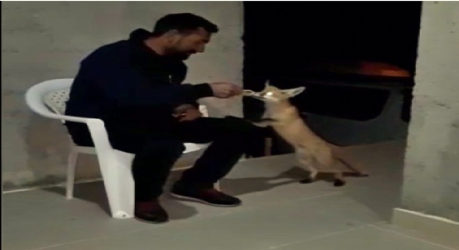 Doğu'dan merhametin fotoğrafı