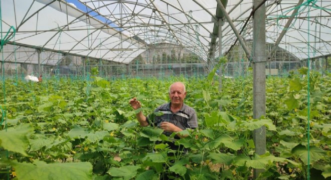 Doğu'nun en hacimli serası Uzundere'de