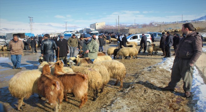 Doğulu besicilerin zorlu kış mesaisi