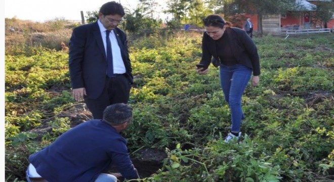 ETB'den tarımda kozmatik yaklaşım