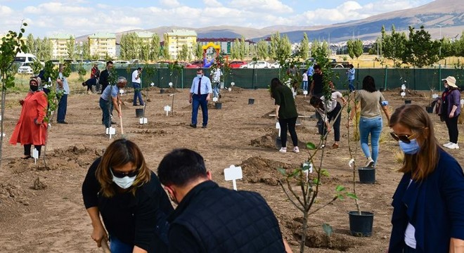 ETÜ Yerleşkesinde Yeşillendirme seferberliği