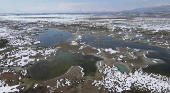 Ekşisu'da ender rastlanan doğa oluşumu