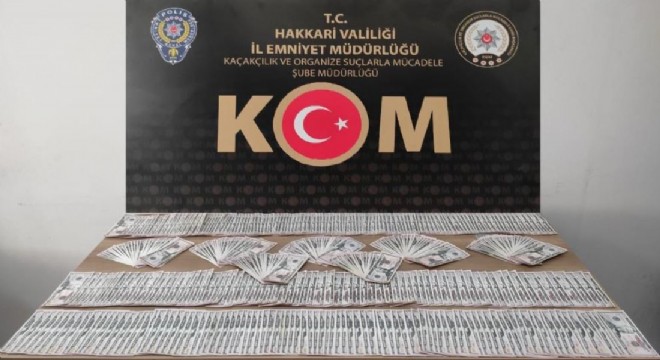 Emniyetten sahte dolar operasyonu