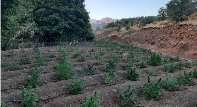 Eren Abluka'da 62 ayrı noktaya operasyon