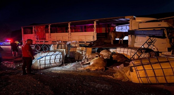Erzincan yolunda 2 tır çarpıştı