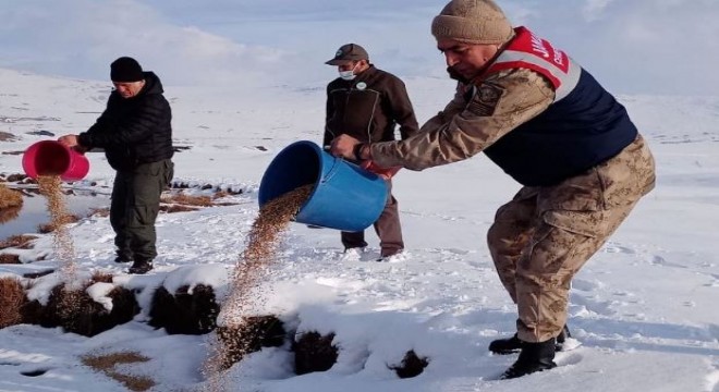 Erzurum DKMP'den yaban yaşamına destek