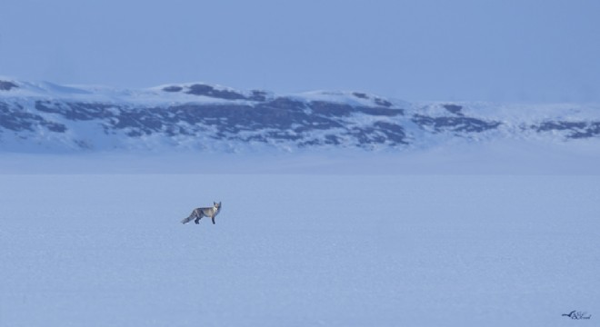 ‘Erzurum Doğu'nun nadide güzelliği'