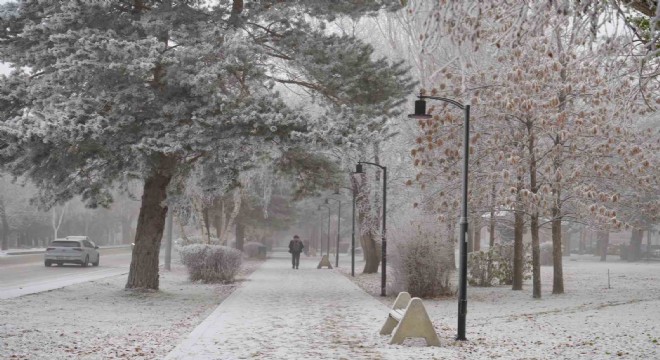 Erzurum Kasım ayı meteorolojik en'leri açıklandı