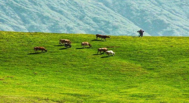 Erzurum besicisine yeni destek