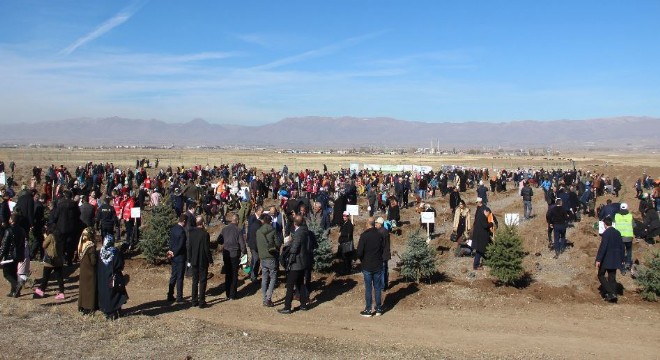 Erzurum'da 12 bin fidan toprakla buluştu