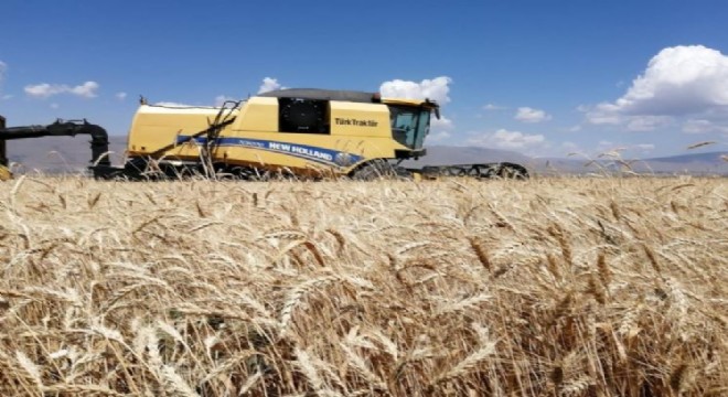 Erzurum'da beklenen hasat 300 bin ton