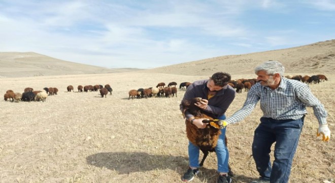 Erzurum'da besiciliğe destek