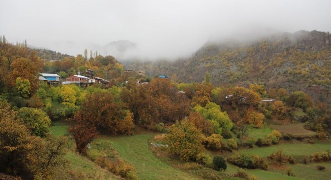 Erzurum'da besiciliğe projeli destek