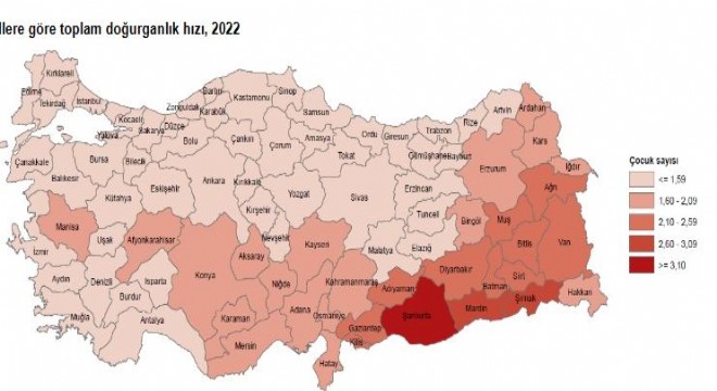 Erzurum'da doğum sayısı düştü